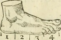 Picture 11 of 43 from La vraye science de la pourtraicture (1671), leaf 26