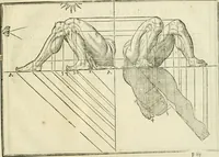 Picture 24 of 43 from La vraye science de la pourtraicture (1671), leaf 48