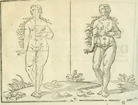Picture 26 of 43 from La vraye science de la pourtraicture (1671), leaf 52