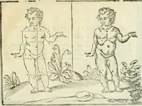 Picture 29 of 43 from La vraye science de la pourtraicture (1671), leaf 58