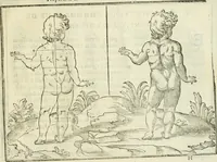 Picture 30 of 43 from La vraye science de la pourtraicture (1671), leaf 60