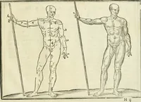 An illustration from La vraye science de la pourtraicture (1671)