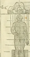 An illustration from La vraye science de la pourtraicture (1671)
