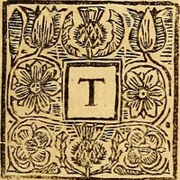 An illustration from The laws and acts of Parliament made by King James the First, Second, Third, Fourth, Fifth, Queen Mary, King James the Sixth, King Charles the First, King Charles the Second who now presently reigns, kings and queen of Scotland : collected and extracted, from the publick records of the said kingdom (1681)