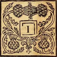 Picture 37 of 128 from The laws and acts of Parliament made by King James the First, Second, Third, Fourth, Fifth, Queen Mary, King James the Sixth, King Charles the First, King Charles the Second who now presently reigns, kings and queen of Scotland : collected and extracted, from the publick records of the said kingdom (1681), leaf 68