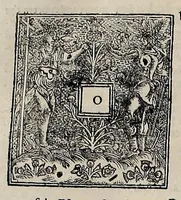 Picture 17 of 17 from Laws and acts of Parliament made by King James the First, Second, Third, Fourth, Fifth, Queen Mary, King James the Sixth, King Charles the First, King (1681), leaf 869