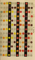 An illustration from The laws of contrast and colour and their application to the arts of painting, decoration of buildings, mosaic work ... (1861)