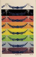 An illustration from The laws of contrast of colour : and their application to the arts of painting, decoration of buildings, mosaic work, tapestry and carpet weaving, calico printing, dress, paper staining, printing, military clothing, illumination, landscape, and flower gardening, &c. (1861)