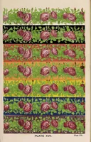 Picture 5 of 5 from The laws of contrast of colour : and their application to the arts of painting, decoration of buildings, mosaic work, tapestry and carpet weaving, calico printing, dress, paper staining, printing, military clothing, illumination, landscape, and flower gardening, &c. (1861), leaf 219