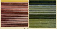 Picture 3 of 8 from The laws of contrast of colour : and their application to the arts of painting, decoration of buildings, mosaic work, tapestry and carpet weaving, calico printing, dress, paper staining, printing, military clothing, illumination, landscape and flower gardening, &c. (1868), leaf 161