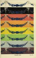 An illustration from The laws of contrast of colour : and their application to the arts of painting, decoration of buildings, mosaic work, tapestry and carpet weaving, calico printing, dress, paper staining, printing, military clothing, illumination, landscape and flower gardening, &c. (1868)