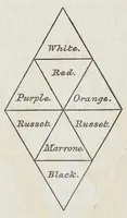 An illustration from The laws of harmonious colouring : adapted to interior decorations, manufactures, and other useful purposes (1838)