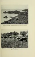 Picture 3 of 14 from Laws of Livingstonia : a narrative of missionary adventure and achievement (1921), leaf 121