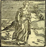 Picture 15 of 25 from La zvcca del Doni (1551), leaf 129