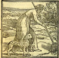 Picture 16 of 25 from La zvcca del Doni (1551), leaf 137