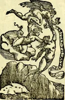 Picture 1 of 25 from La zvcca del Doni (1551), leaf 14