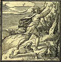 An illustration from La zvcca del Doni (1551)