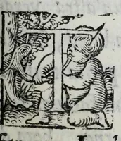 Picture 10 of 33 from La zvcca del Doni (1551), leaf 283