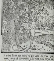 An illustration from La zvcca del Doni (1551)