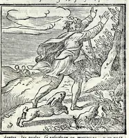 Picture 6 of 8 from La zvcca del Doni, en spañol (1551), leaf 101