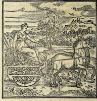 An illustration from La zvcca del Doni, en spañol (1551)