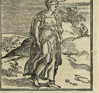 An illustration from La zvcca del Doni, en spañol (1551)