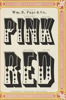 Picture 28 of 70 from Specimens of chromatic wood type, borders, etc. manufactured by Wm. H. Page & Co. (1874), leaf 46