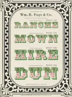 Picture 43 of 70 from Specimens of chromatic wood type, borders, etc. manufactured by Wm. H. Page & Co. (1874), leaf 63