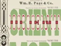 Picture 45 of 70 from Specimens of chromatic wood type, borders, etc. manufactured by Wm. H. Page & Co. (1874), leaf 66
