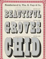 Picture 47 of 70 from Specimens of chromatic wood type, borders, etc. manufactured by Wm. H. Page & Co. (1874), leaf 68
