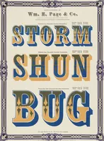 Picture 60 of 70 from Specimens of chromatic wood type, borders, etc. manufactured by Wm. H. Page & Co. (1874), leaf 84