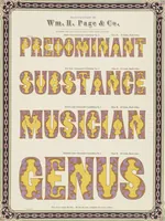 Picture 62 of 70 from Specimens of chromatic wood type, borders, etc. manufactured by Wm. H. Page & Co. (1874), leaf 86
