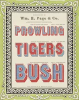 Picture 64 of 70 from Specimens of chromatic wood type, borders, etc. manufactured by Wm. H. Page & Co. (1874), leaf 89