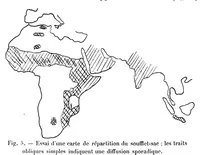 Picture 1 of 19 from Études d'ethnographie algérienne : Les soufflets algériens -Les poteries kabyles. - Le tissage aux cartons - L'art décoratif (1911), leaf 14
