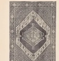 Picture 9 of 14 from Art panels from the handlooms of the Far Orient as seen by native rug weavers (1910), leaf 30