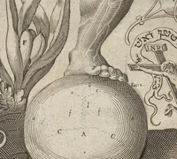 Picture 4 of 5 from Kleiner welt spiegel, das ist, abbildung göttlicher schöpffung an dess menschen leib : mit beygesetzer schrifftlicher Erklärung : so wo zu Gottes Weissheit : als dess menschen selbst erkandtnuss dienend (1661), leaf 100