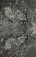Picture 23 of 44 from Stones for building and decoration (1910), leaf 281