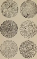 Picture 2 of 44 from Stones for building and decoration (1910), leaf 53