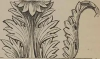 An illustration from A concise glossary of terms used in Grecian, Roman, Italian, and Gothic architecture (1905)