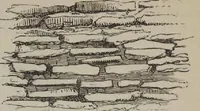 An illustration from A concise glossary of terms used in Grecian, Roman, Italian, and Gothic architecture (1905)