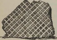 An illustration from A concise glossary of terms used in Grecian, Roman, Italian, and Gothic architecture (1905)
