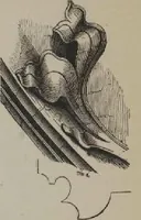 An illustration from A concise glossary of terms used in Grecian, Roman, Italian, and Gothic architecture (1905)