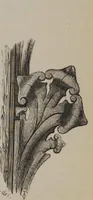An illustration from A concise glossary of terms used in Grecian, Roman, Italian, and Gothic architecture (1905)