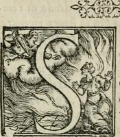 An illustration from Le antichita de la citta di Roma (1556)