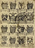 Picture 11 of 13 from Le arme delle famiglie nobili di Siena (1716), leaf 26