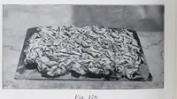 Picture 15 of 17 from Leather dressing, including dyeing, staining and finishing (1907), leaf 386