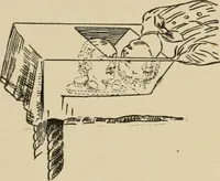 An illustration from Leaves from conjurers' scrap books : or, Modern magicians and their works (1891)