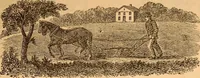 An illustration from Leavitt's farmer's almanack, improved, and miscellaneous year book, for the year of our Lord 1885 (1884)
