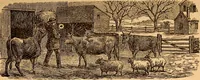An illustration from Leavitt's farmer's almanack, improved, and miscellaneous year book, for the year of our Lord 1885 (1884)