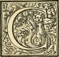 An illustration from Le belle arti, pittura, scultura, e architettura, compimento, e perfezione delle bellezze dell'universo mostrate nel Campidoglio dall'Accademia del disegno il d ì 24. settembre 1711 : essendo principe della medesima il sig. cavalier Carlo Maratti e viceprincipe il signor cavalier Carlo Francesco Person (1711)